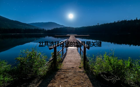 盆具选择合适的盆具是关键