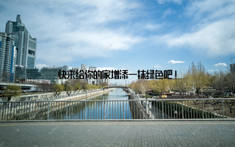 快来给你的家增添一抹绿色吧!