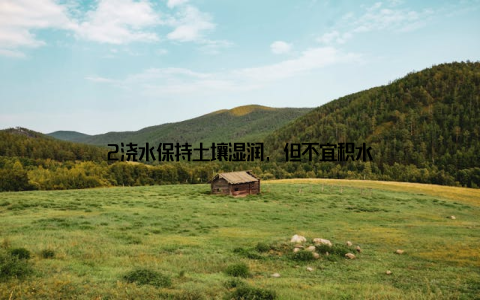 2浇水保持土壤湿润, 但不宜积水