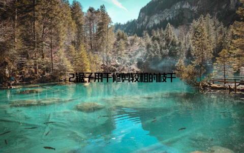 2锯子用于修剪较粗的枝干