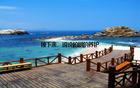 接下来, 说说柏树的养护