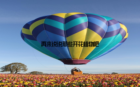 再来说说那些开花植物吧