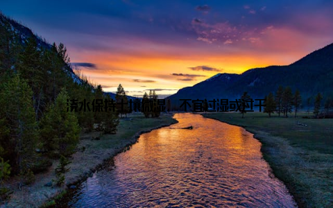 浇水保持土壤微湿, 不宜过湿或过干