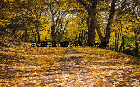 注意施肥量和施肥频率, 以免烧根