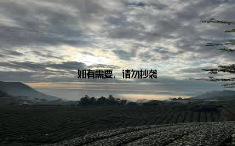 如有需要, 请勿抄袭