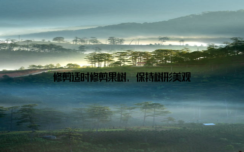 修剪适时修剪果树, 保持树形美观