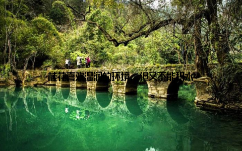 桂花喜欢湿润的环境, 但又不能积水