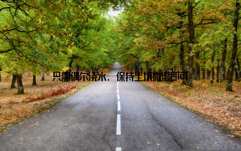 只需偶尔浇水, 保持土壤微湿即可