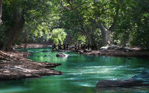 大家好, 我是小杨
