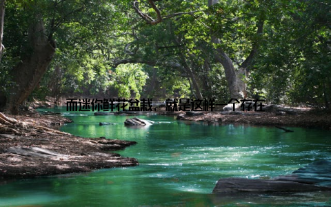 而迷你鲜花盆栽, 就是这样一个存在