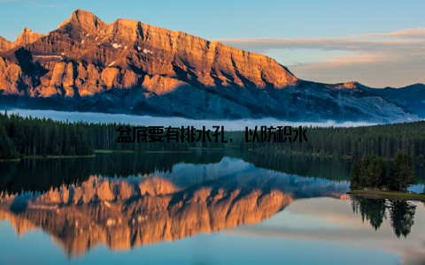 盆底要有排水孔, 以防积水