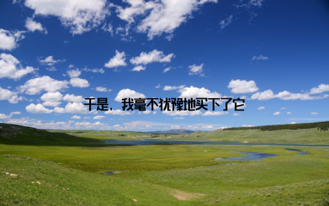 于是, 我毫不犹豫地买下了它