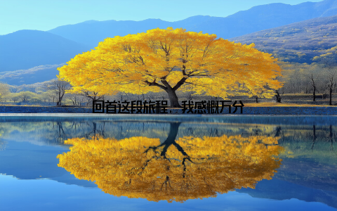 回首这段旅程, 我感慨万分