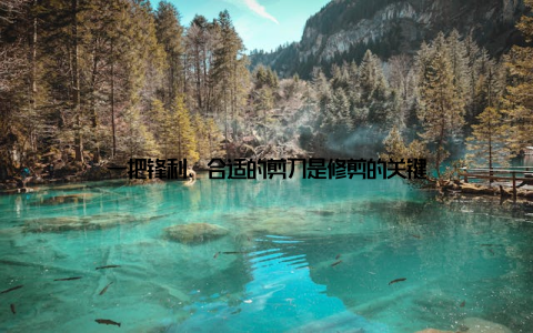 一把锋利、合适的剪刀是修剪的关键