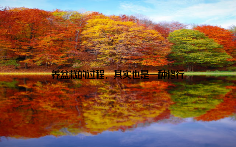 养盆栽的过程, 其实也是一种修行