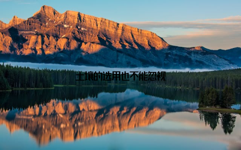 土壤的选用也不能忽视