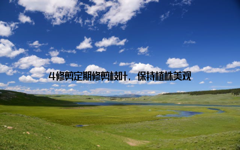 4修剪定期修剪枝叶, 保持植株美观