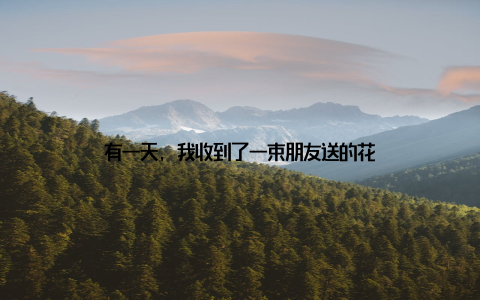 有一天, 我收到了一束朋友送的花
