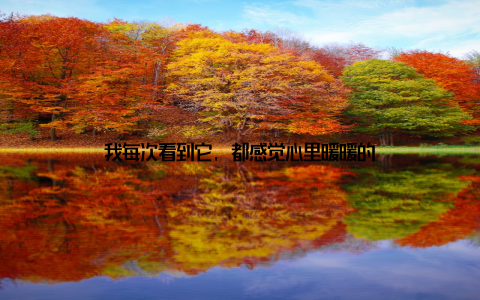 我每次看到它, 都感觉心里暖暖的
