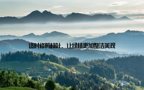 适时修剪枝叶, 让绿植更加整洁美观