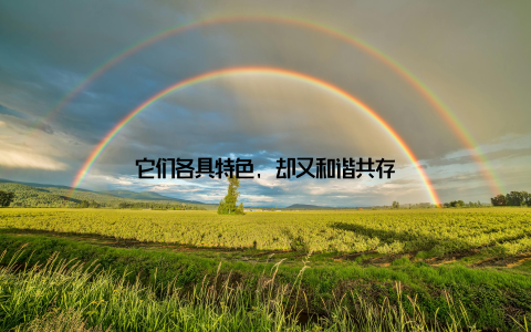 它们各具特色, 却又和谐共存