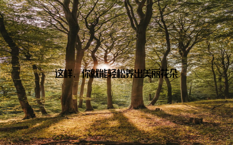 这样, 你就能轻松养出美丽花朵