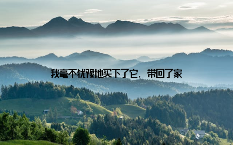 我毫不犹豫地买下了它, 带回了家