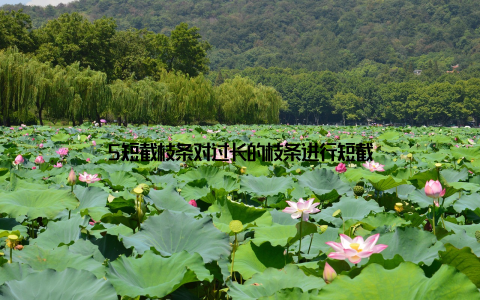 5短截枝条对过长的枝条进行短截