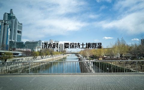 浇水时, 要保持土壤微湿