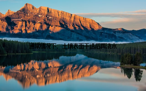 通常情况下, 土壤表面干透后再浇水