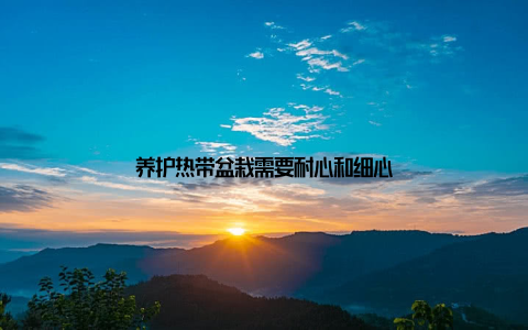 养护热带盆栽需要耐心和细心