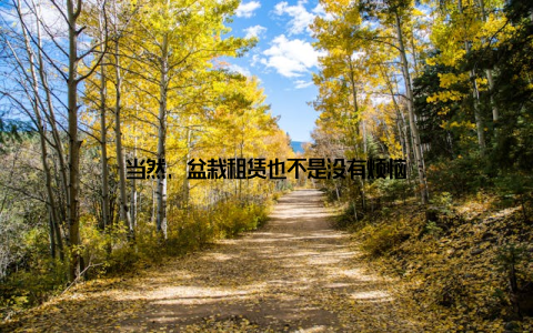 当然, 盆栽租赁也不是没有烦恼