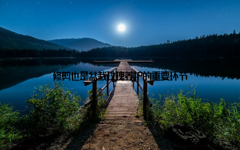 修剪也是盆栽玫瑰养护的重要环节