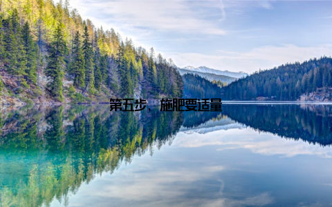 第五步, 施肥要适量