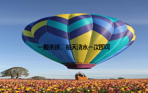 一般来说, 每天浇水一次即可