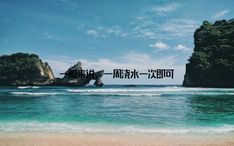 一般来说, 一周浇水一次即可