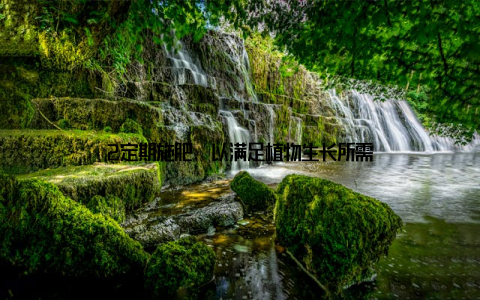 2定期施肥, 以满足植物生长所需