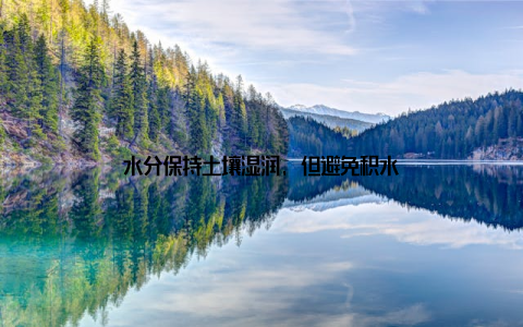水分保持土壤湿润, 但避免积水