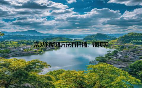 常见的繁殖方法有扦插、嫁接等