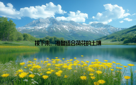 接下来, 准备适合荷花的土壤