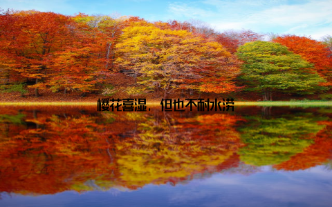 樱花喜湿, 但也不耐水涝