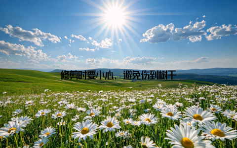 修剪时要小心, 避免伤到树干