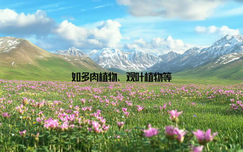 如多肉植物、观叶植物等