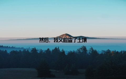 然后, 我又检查了土壤