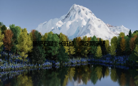 施肥石榴生长旺盛, 需定期施肥