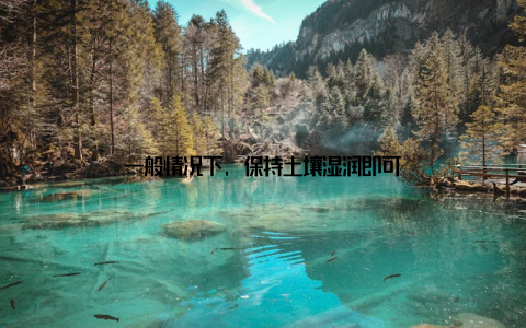 一般情况下, 保持土壤湿润即可