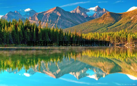 那种成就感, 真是无法用言语来形容