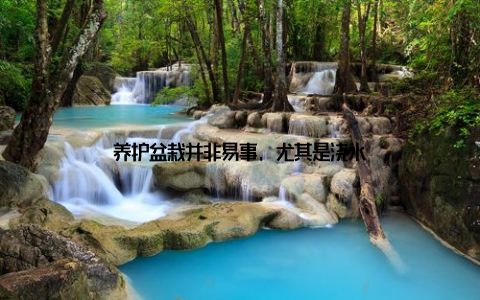 养护盆栽并非易事, 尤其是浇水