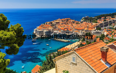 在这里, 你可以挑选到高品质的玫瑰