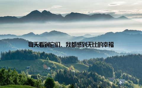 每天看到它们, 我都感到无比的幸福